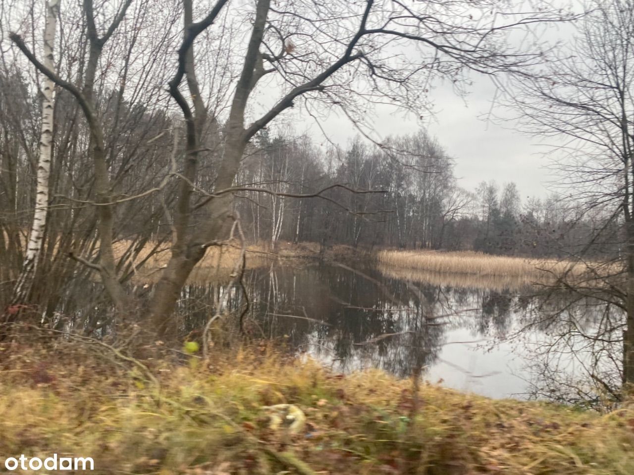 dom wolnostojący, 6 pokoi Łazy, ul. Partyzantów