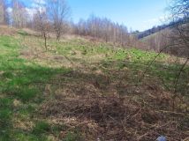 Działka rolna Nowy Sącz. Zdjęcie 4