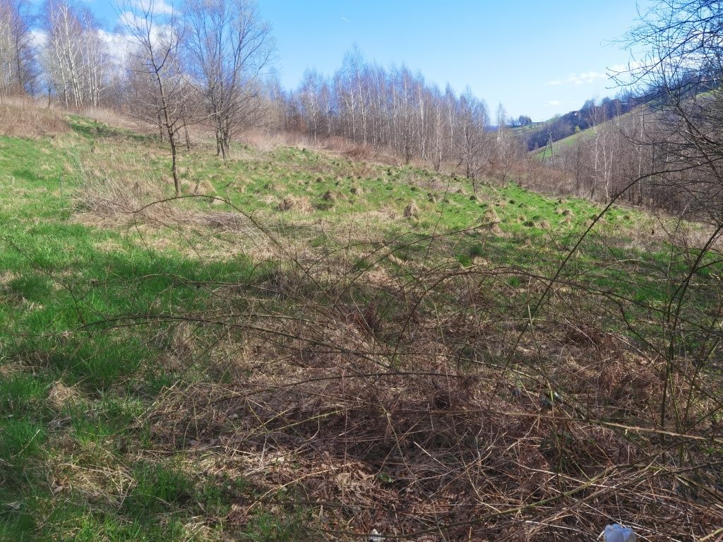 Działka rolna Nowy Sącz. Zdjęcie 5