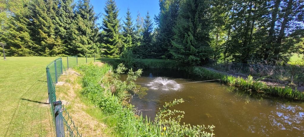 dom, 2 pokoje Sewerynów. Zdjęcie 3