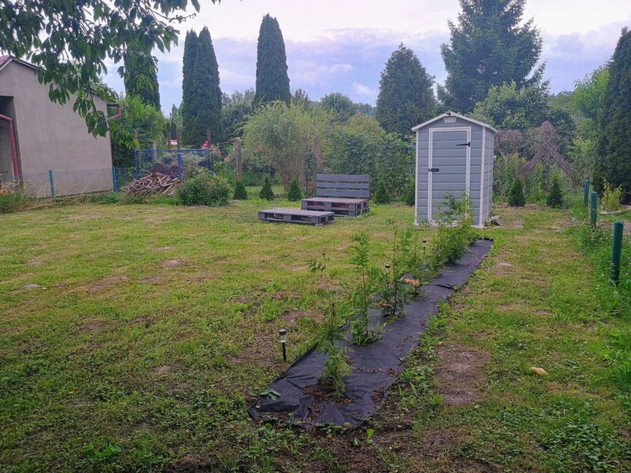 Działka rod Toruń, ul. Stanisława Przybyszewskiego. Zdjęcie 3