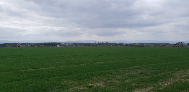 Działka budowlana Jędrzychów. Zdjęcie 1