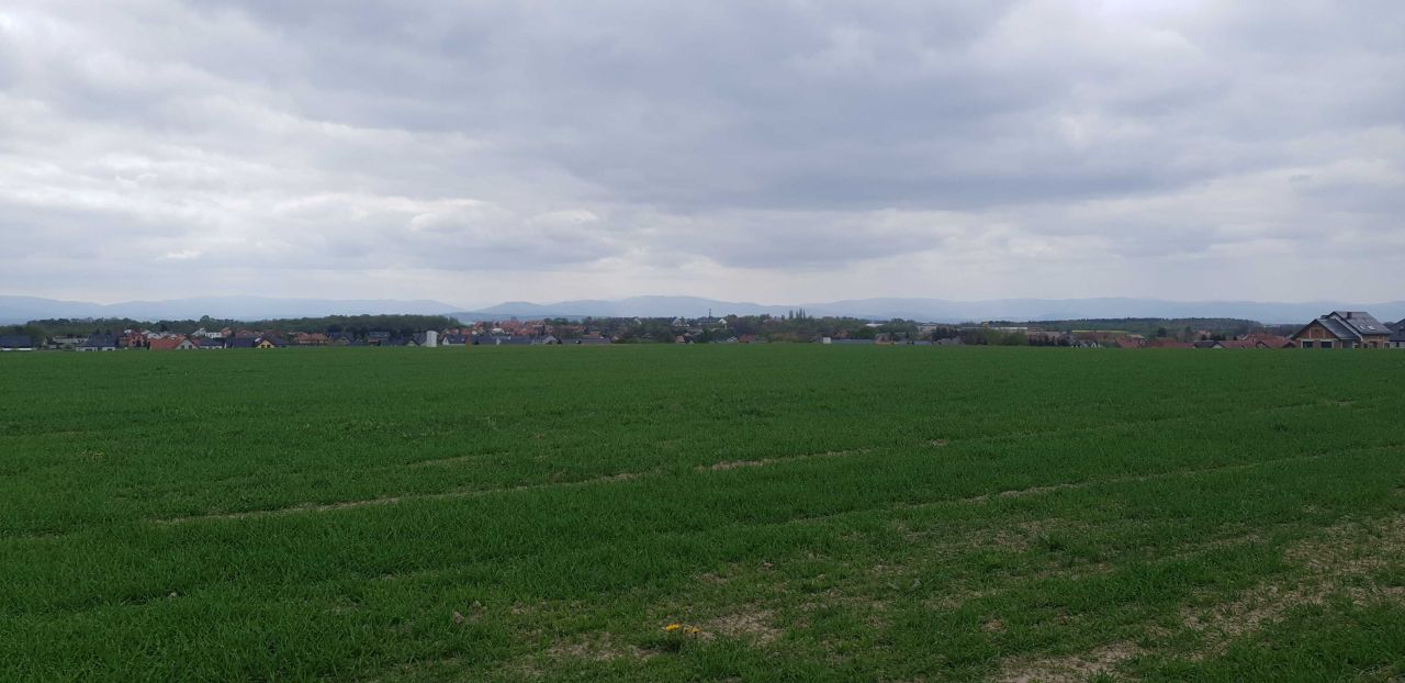 Działka budowlana Jędrzychów