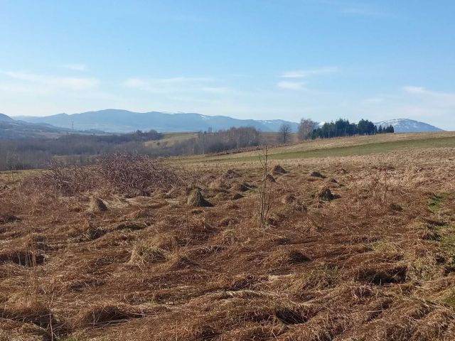 Działka budowlana Okrajnik. Zdjęcie 1