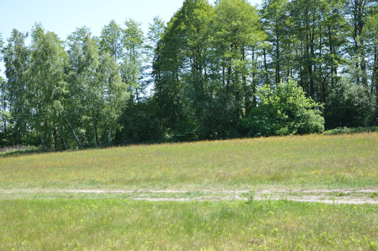 Działka budowlana Hipolitów. Zdjęcie 5