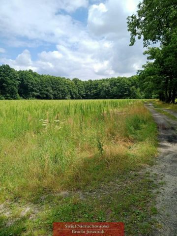 Działka rolna Dębina. Zdjęcie 1