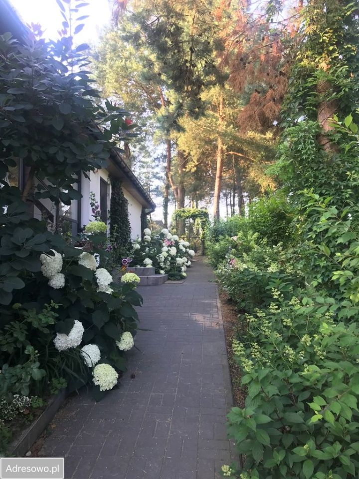 dom wolnostojący, 4 pokoje Brzóze Małe. Zdjęcie 15