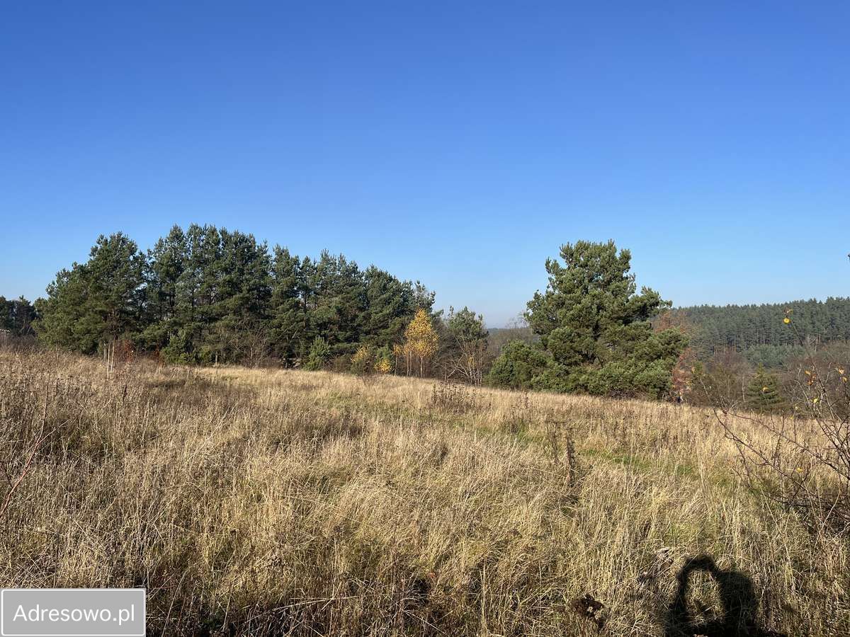 Działka budowlana Słosinko. Zdjęcie 2