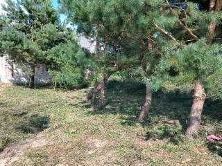 dom wolnostojący Surhów. Zdjęcie 4