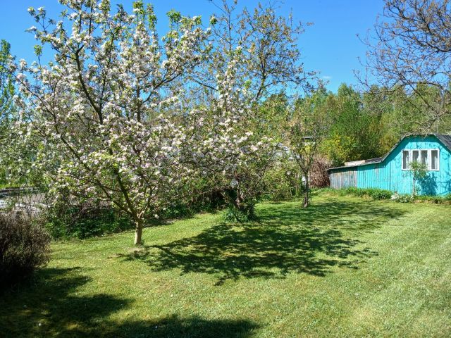 Działka rekreacyjna Częstochowa Dźbów, ul. Kopalniana. Zdjęcie 1