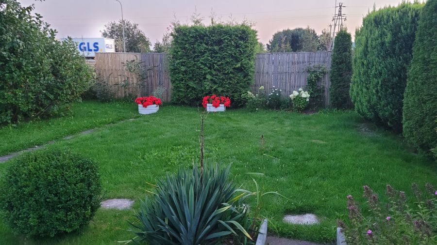 Działka rod Gdańsk Rębiechowo, ul. Nowatorów. Zdjęcie 5