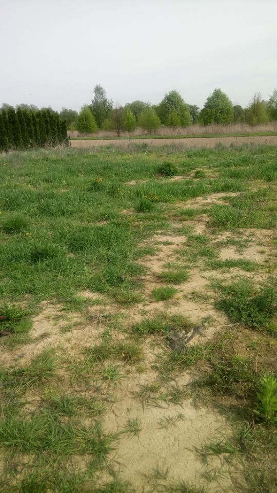 Działka budowlana Pólko. Zdjęcie 4