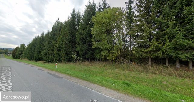 Działka budowlana Czarna Górna. Zdjęcie 1