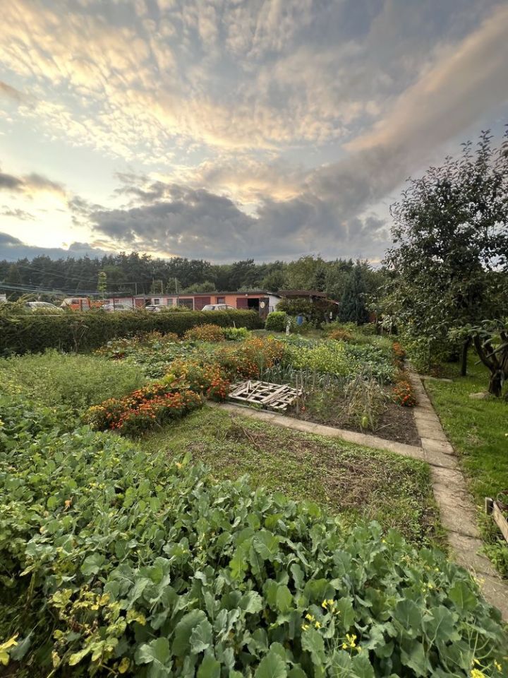 Działka rod Zielona Góra, ul. Łużycka. Zdjęcie 8