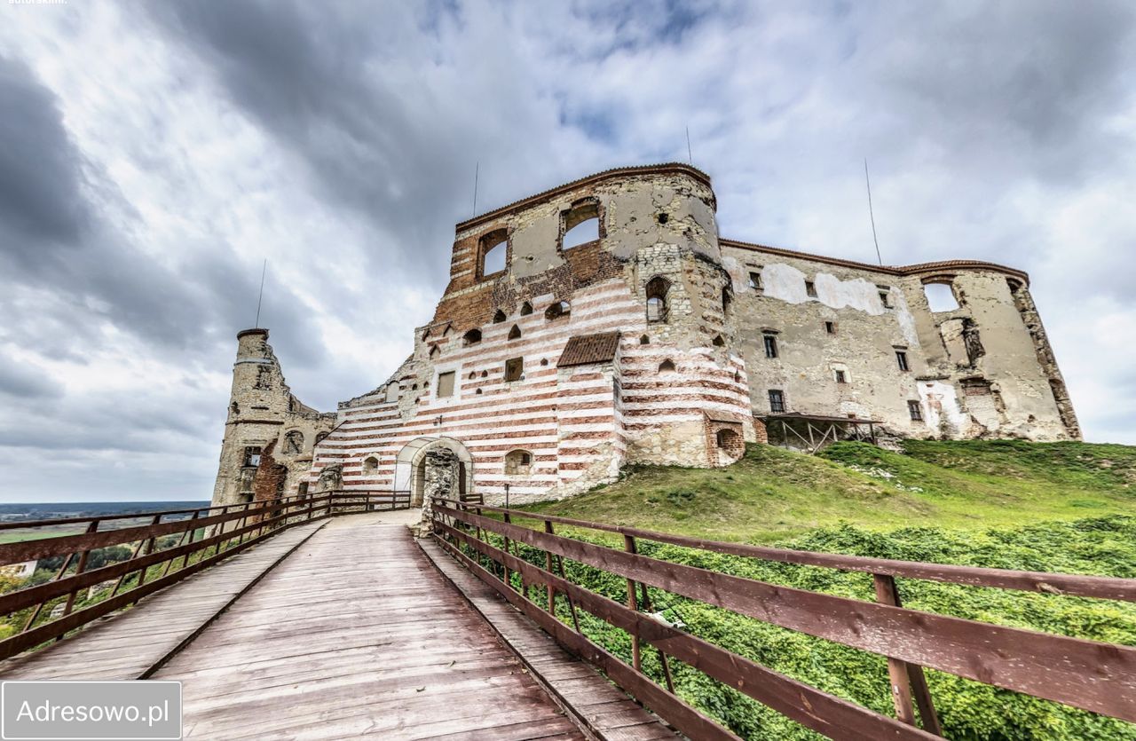 Działka leśna Janowiec, ul. Spółdzielcza. Zdjęcie 5