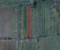 Działka inwestycyjna Trzciana Za Koleją. Zdjęcie 1