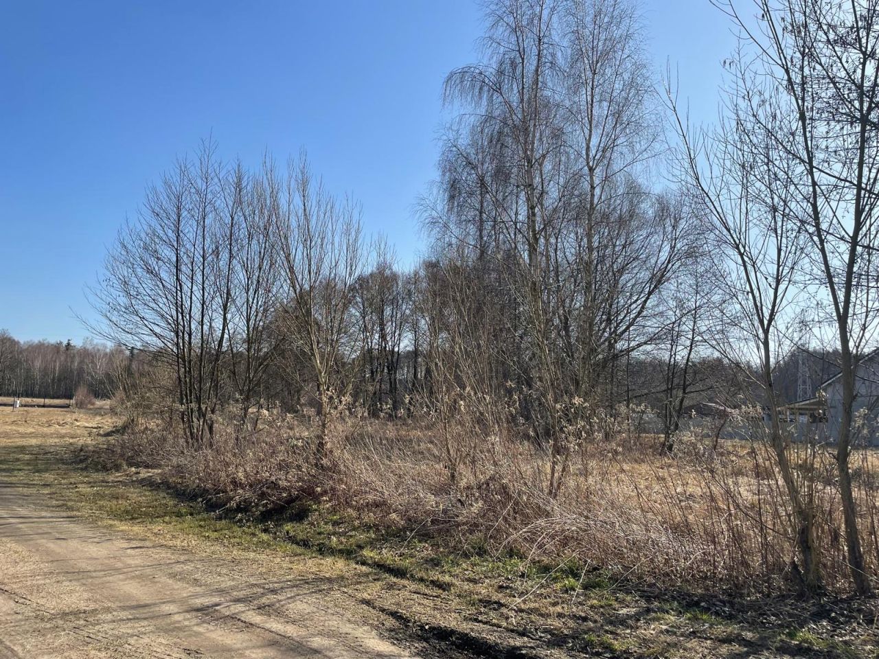 Działka budowlana Sośnie, ul. Łąkowa. Zdjęcie 4