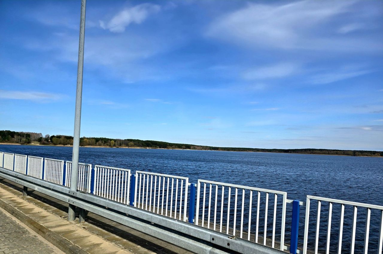 Działka leśna Daniszewice. Zdjęcie 4