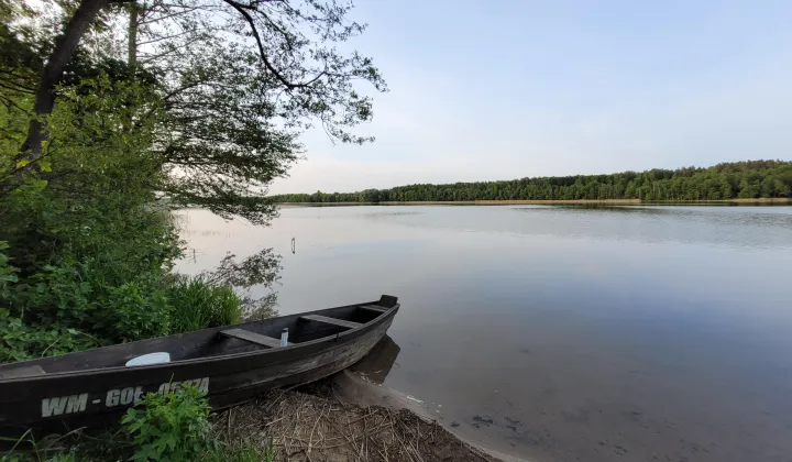 Działka leśna Pluszkiejmy