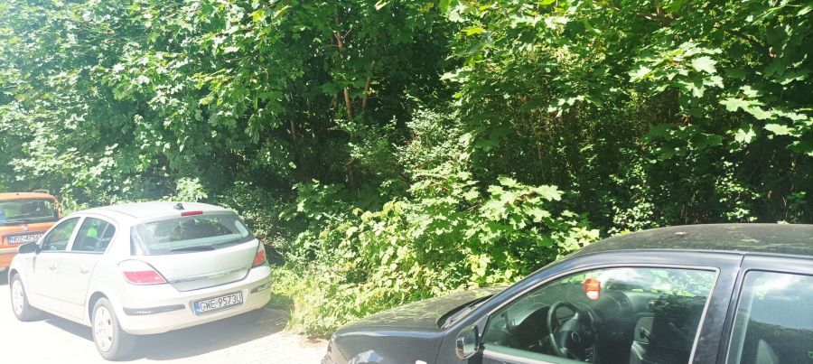 Działka rod Gdańsk Brętowo, ul. Juliusza Słowackiego. Zdjęcie 6