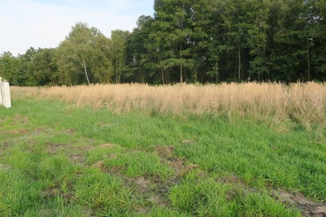 Działka budowlana Żyrardów, ul. Jaktorowska. Zdjęcie 1