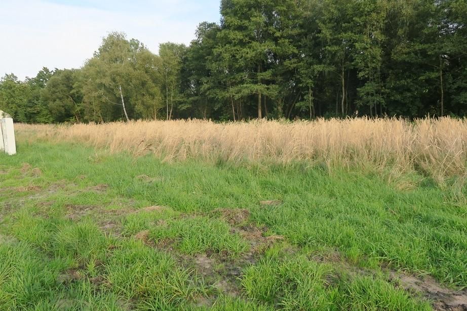 Działka budowlana Żyrardów, ul. Jaktorowska