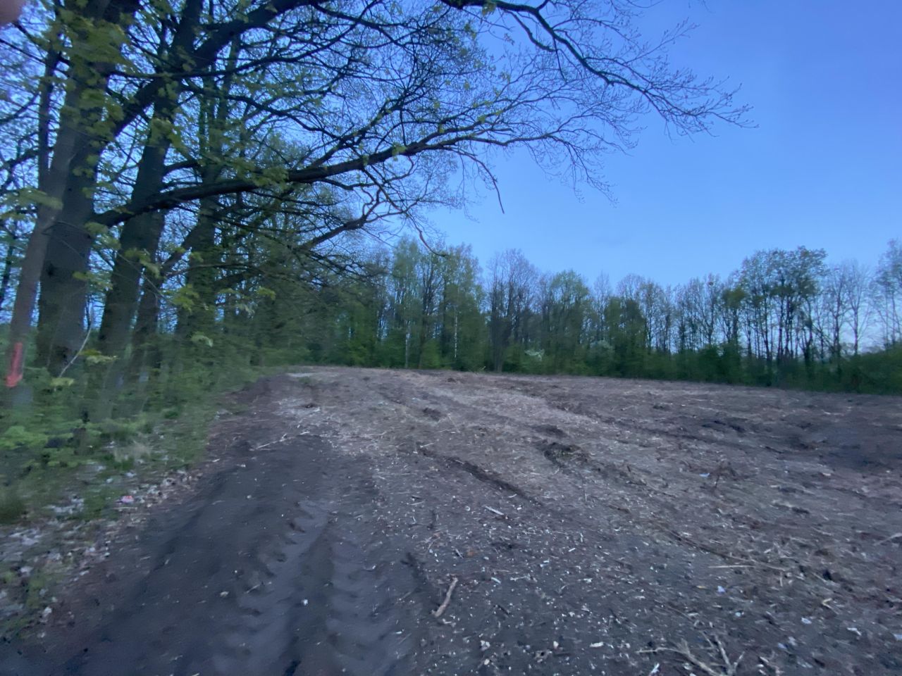 Działka budowlana Turawa, ul. Ogrodowa. Zdjęcie 6