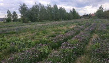 Działka budowlana Warszawa Wilanów, ul. Zakamarek