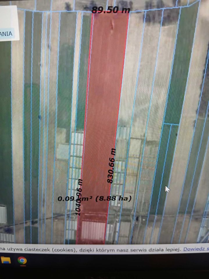 Działka rolna Czarnocin. Zdjęcie 5