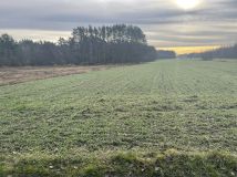 Działka rolno-budowlana Groszowice Wrzosów, ul. Kalinowa. Zdjęcie 4