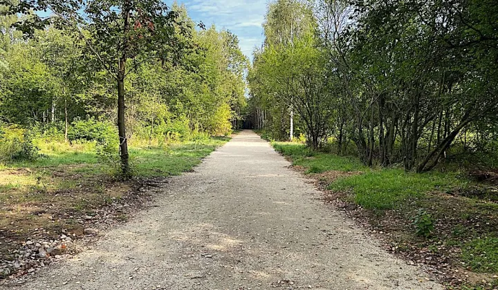 Działka budowlana Tuszyn Tuszynek Poduchowny, ul. Poddębina
