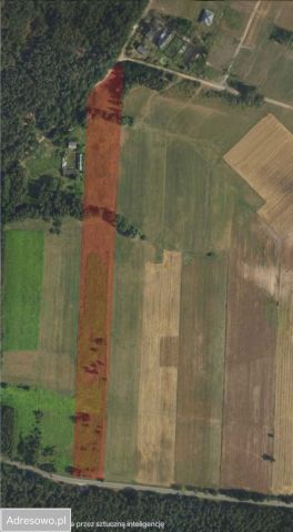 Działka budowlana Michałów. Zdjęcie 1