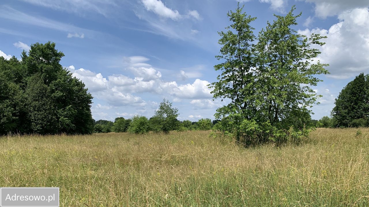 Działka budowlana Arciechów, ul. Dąbrowiecka. Zdjęcie 6