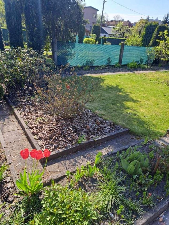 Działka rekreacyjna Ruda Śląska, ul. Szpitalna. Zdjęcie 3