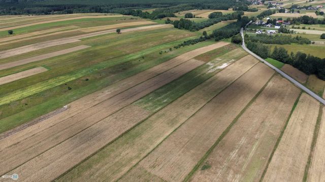 Działka inwestycyjna Belno. Zdjęcie 10