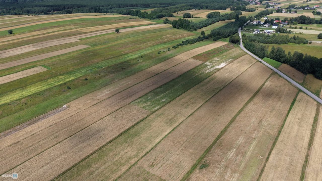 Działka inwestycyjna Belno. Zdjęcie 10