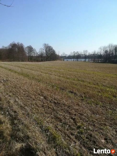 Działka rolna Kaszewo. Zdjęcie 11