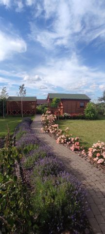 Działka rod Zamość. Zdjęcie 1