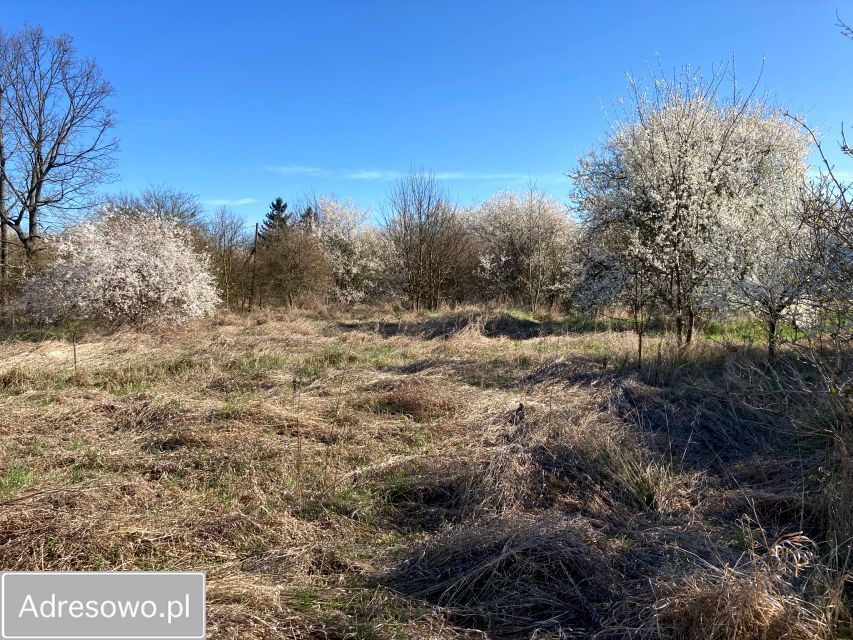 Działka budowlana Chojna