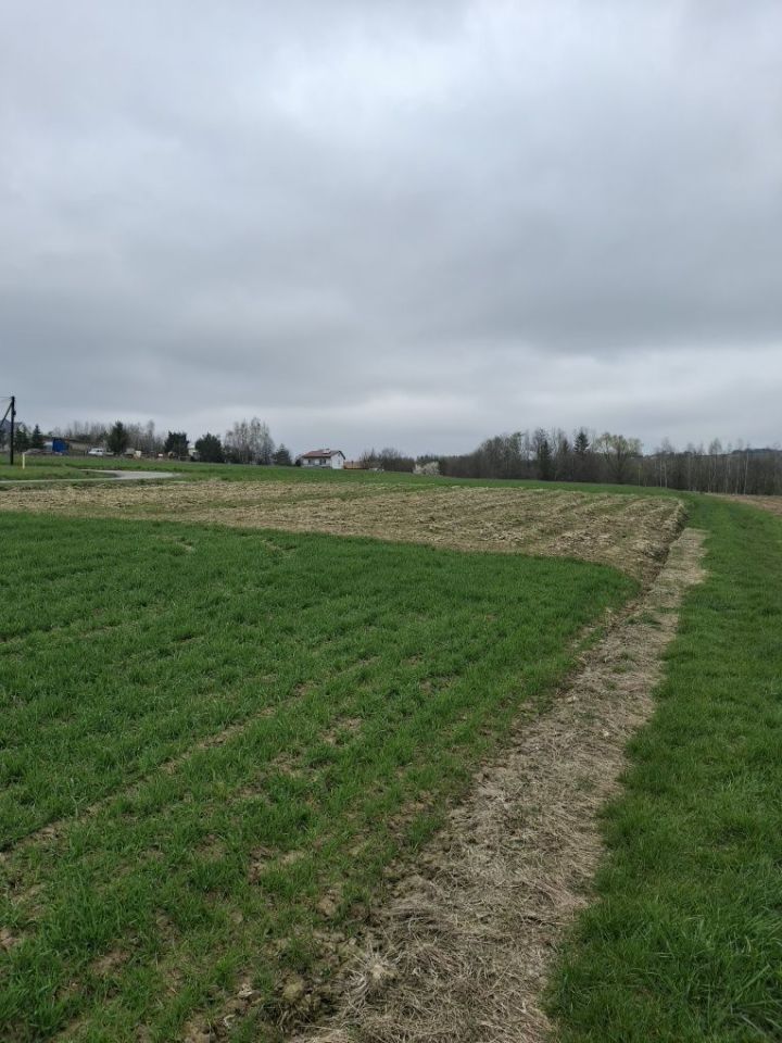 Działka budowlana Moszczenica. Zdjęcie 5