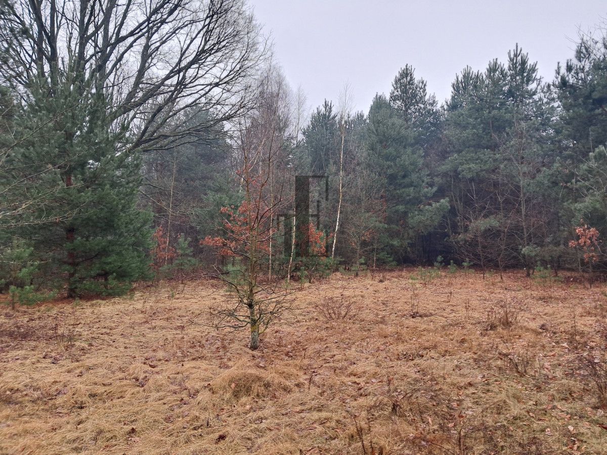 Działka budowlana Sulejówek Szkopówka, ul. Wspólna. Zdjęcie 4