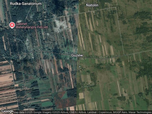 Działka rolno-budowlana Guzew, ul. Graniczna. Zdjęcie 1