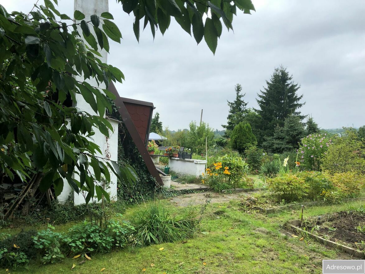 Działka rod Bytom, ul. Piotra Woźniaka