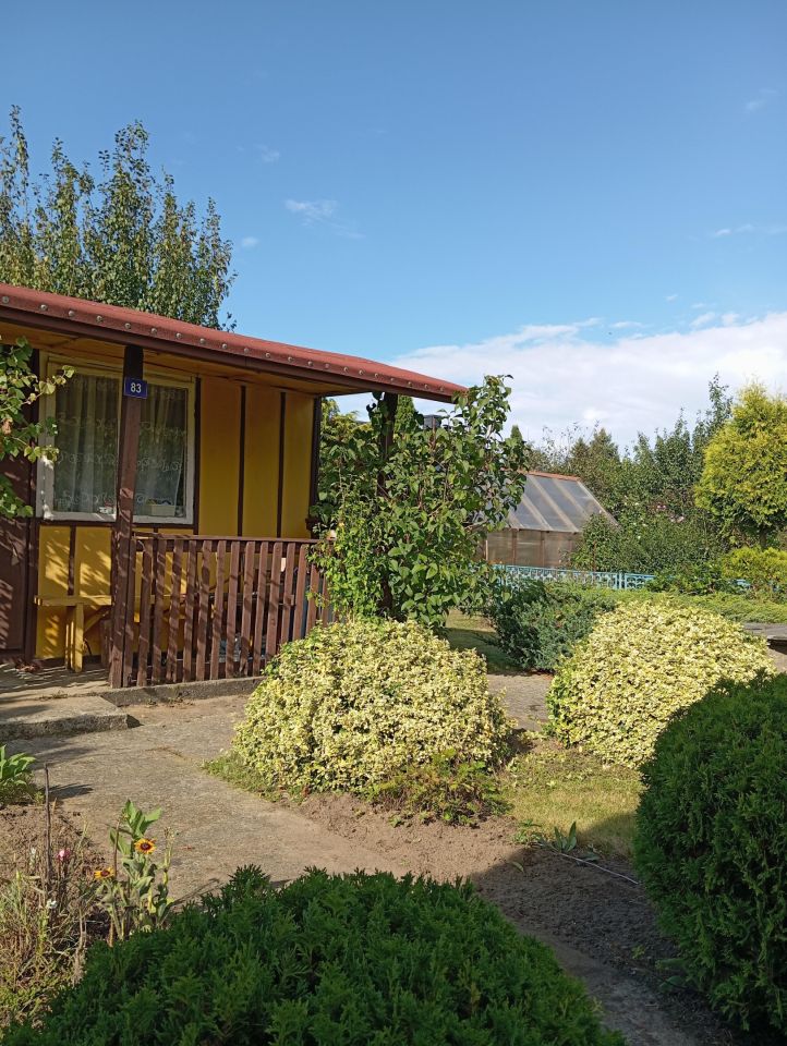 Działka rod Płock Radziwie. Zdjęcie 2