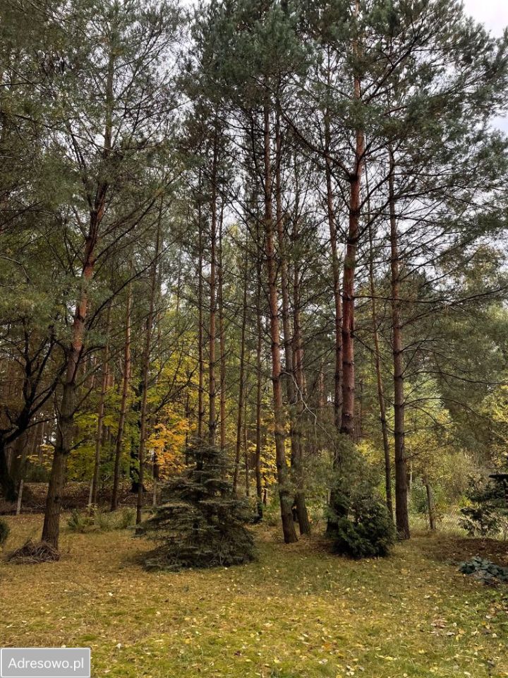 dom wolnostojący, 2 pokoje Józefin. Zdjęcie 6