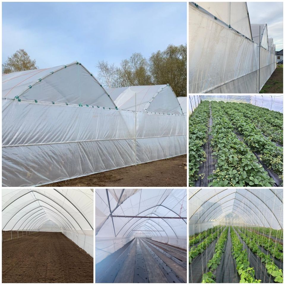 dom wolnostojący Lulewiczki. Zdjęcie 3