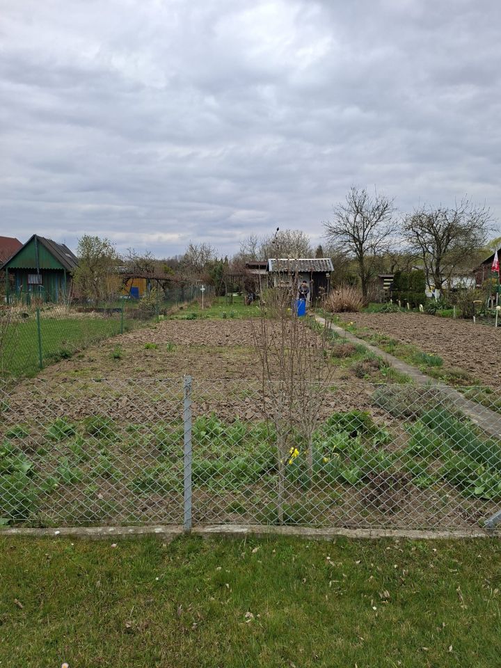 Działka rod Tarnobrzeg Nadole, ul. Przy Zalewie. Zdjęcie 5