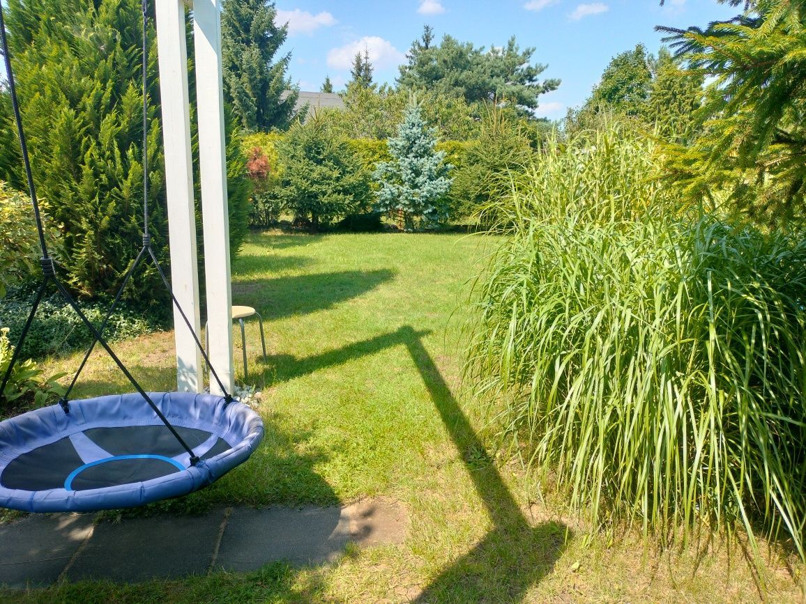 Działka rod Płock Radziwie, ul. Dobrzykowska. Zdjęcie 4