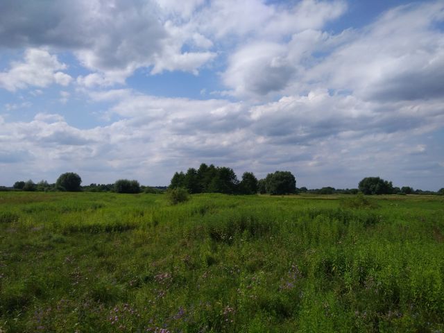 Działka rolna Piotrowice. Zdjęcie 1