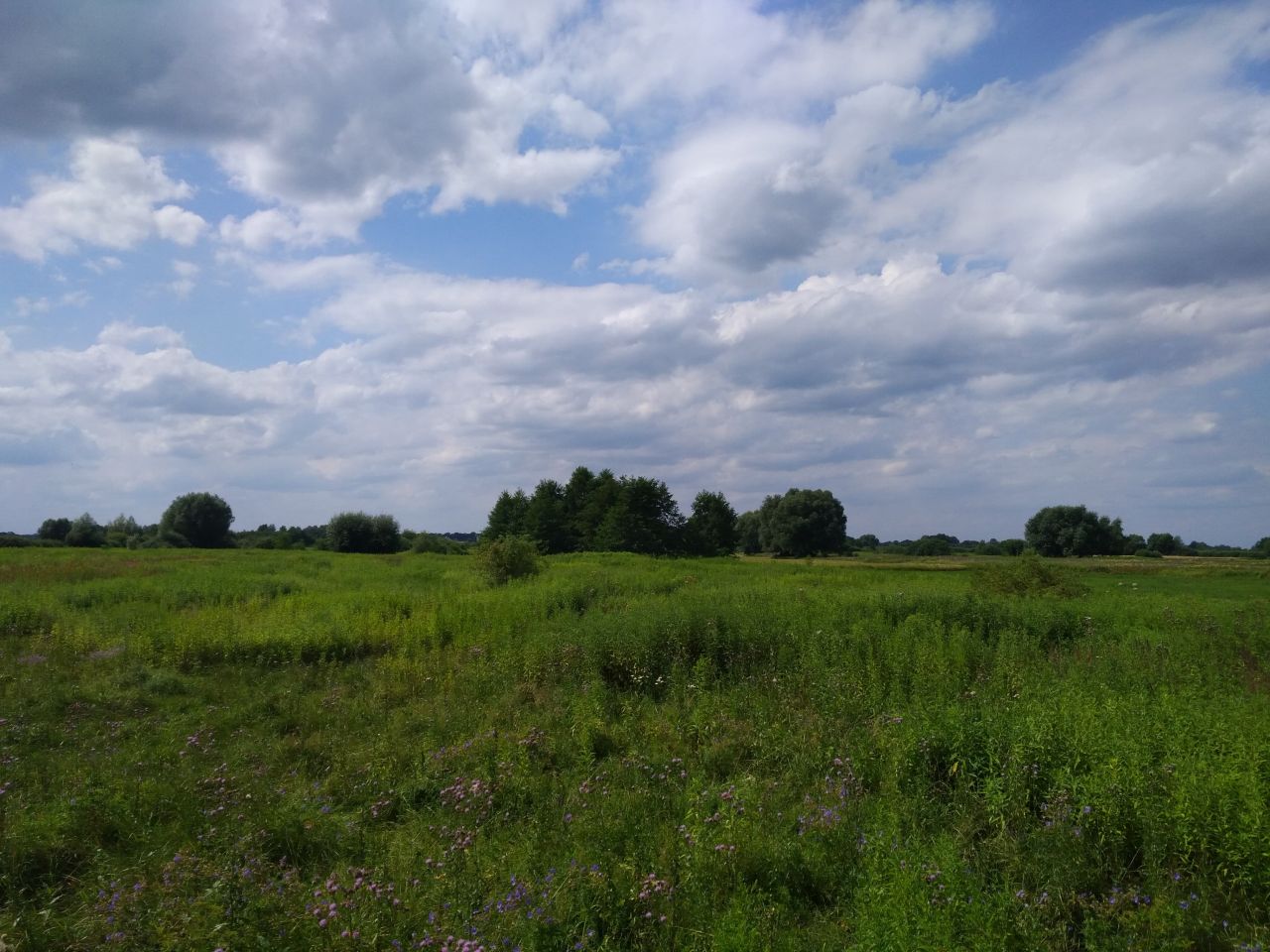 Działka rolna Piotrowice